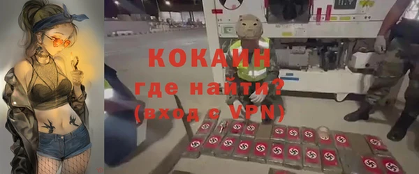 гидра Вяземский