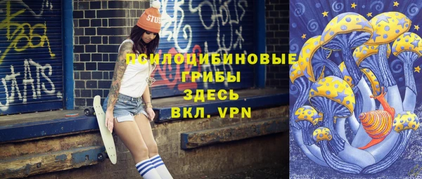 бошки Горнозаводск