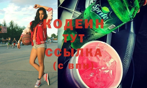 гидра Вяземский