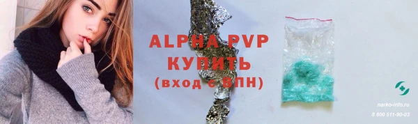 гидра Вяземский