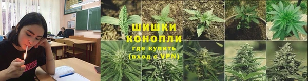 гидра Вяземский